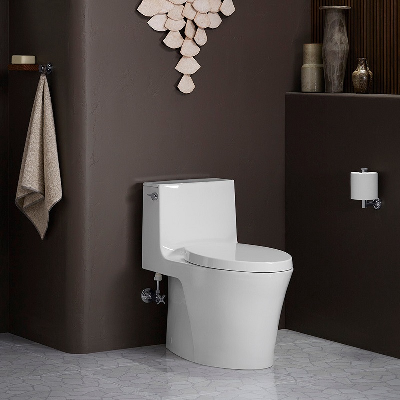 Bồn cầu hiện đại