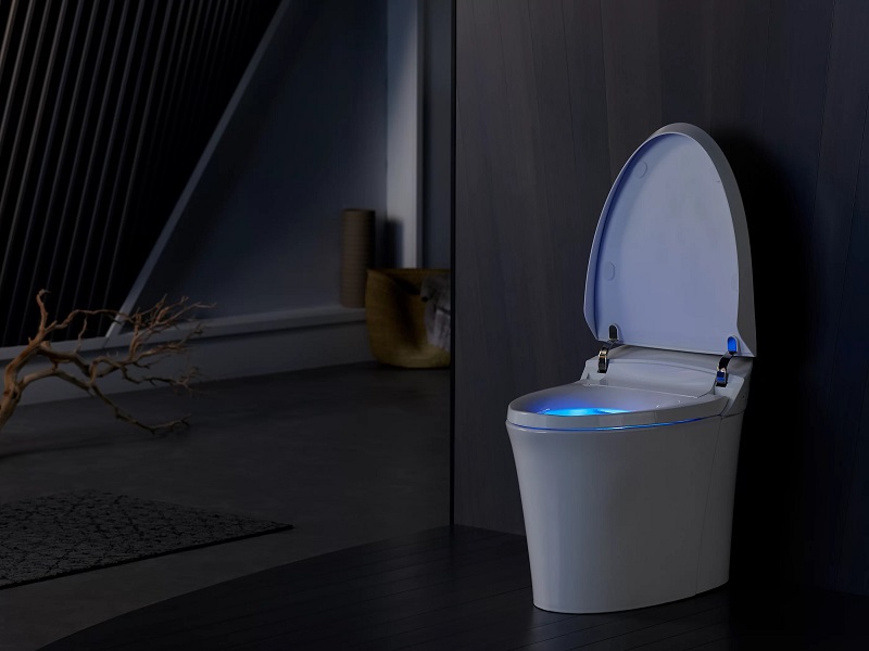 Bồn cầu thông minh Kohler