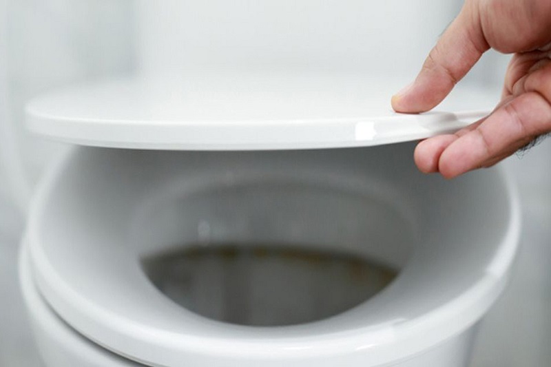 Nắp bồn cầu thông dụng