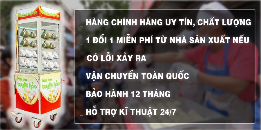 Mua sản phẩm tủ hấp bánh bao mini di động VN-400D tại Hà Nội và TP. HCM