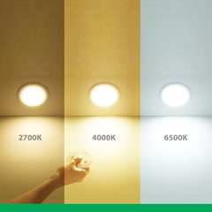 Đèn LED âm trần 3 màu