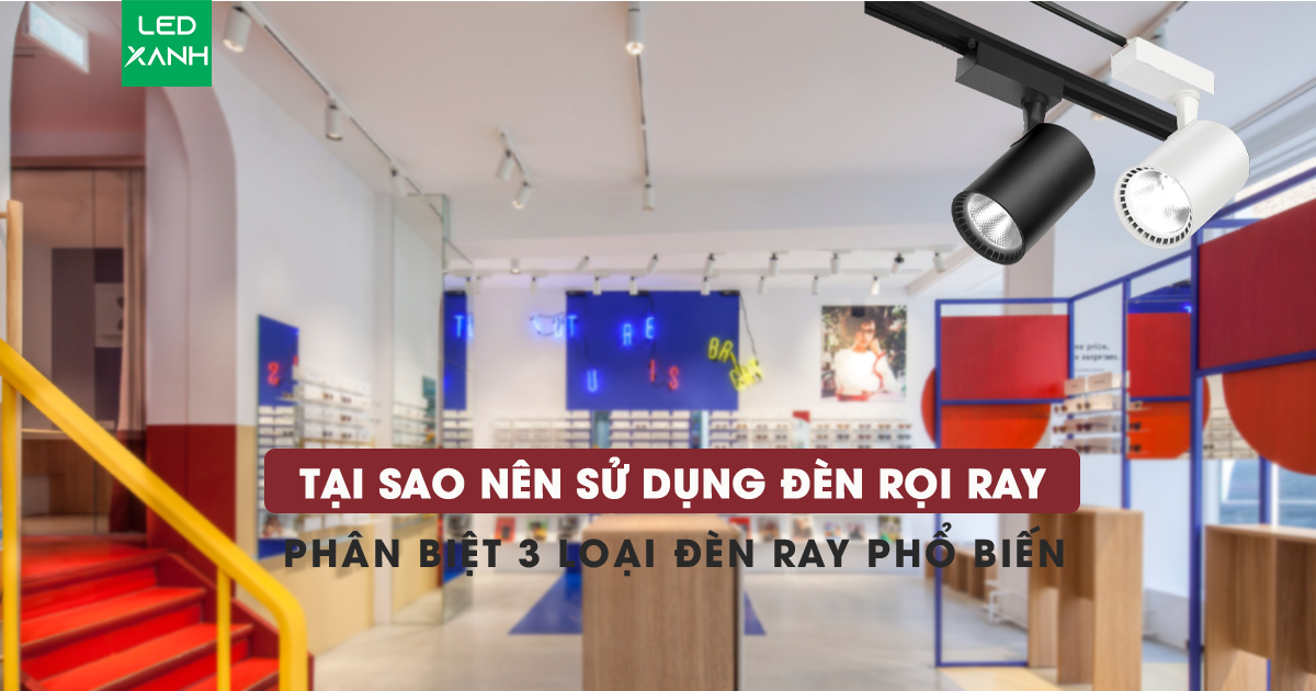 Tại sao tôi nên sử dụng đèn rọi ray? Phân biệt 3 loại đèn ray phổ biến