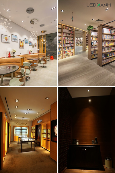 choa-den-am-tran-chieu-roi-elv