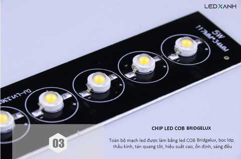 den-chan-tuong-nationled