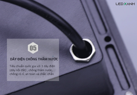 den-chan-tuong-nationled