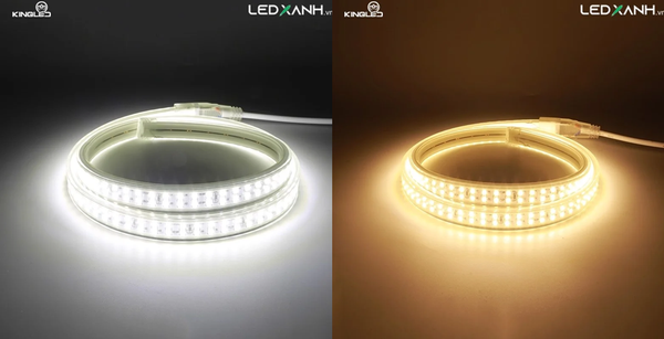 den-led-day-2835-180-led-m-kingled