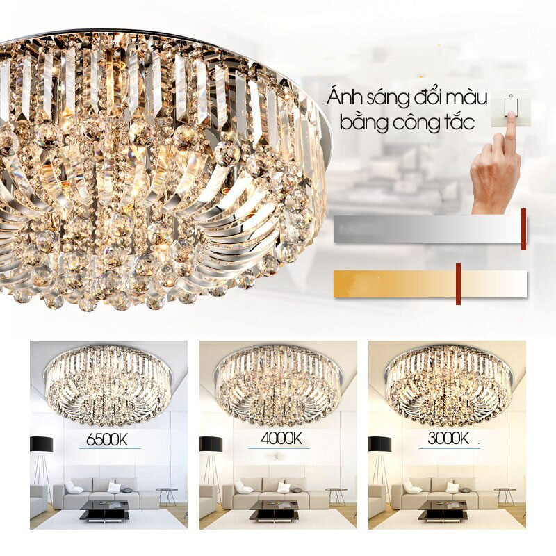 den-mam-pha-le-m9081