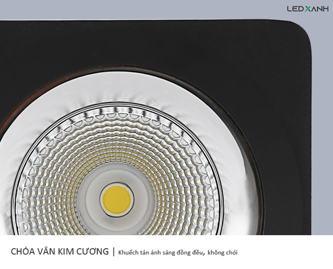 den-ong-bo-elv-d1808