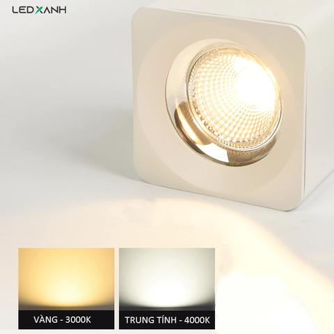 den-ong-bo-elv-d1808