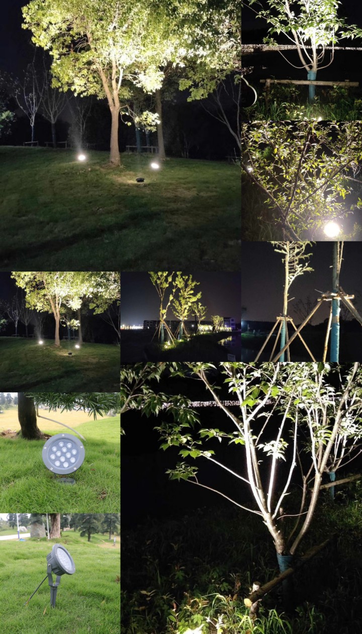 den-roi-ngoai-troi-de-ngoi-cam-co-mds01