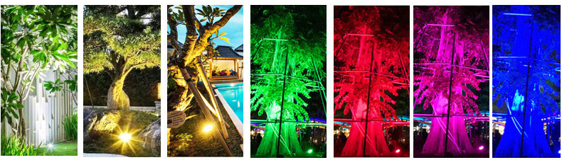 den-roi-ngoai-troi-de-ngoi-cam-co-mds01