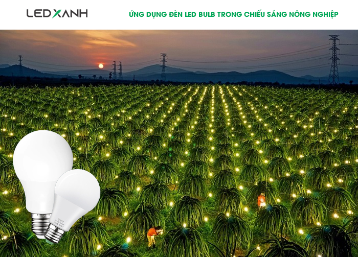 Ứng dụng của bóng đèn Led Bulb trong nông nghiệp