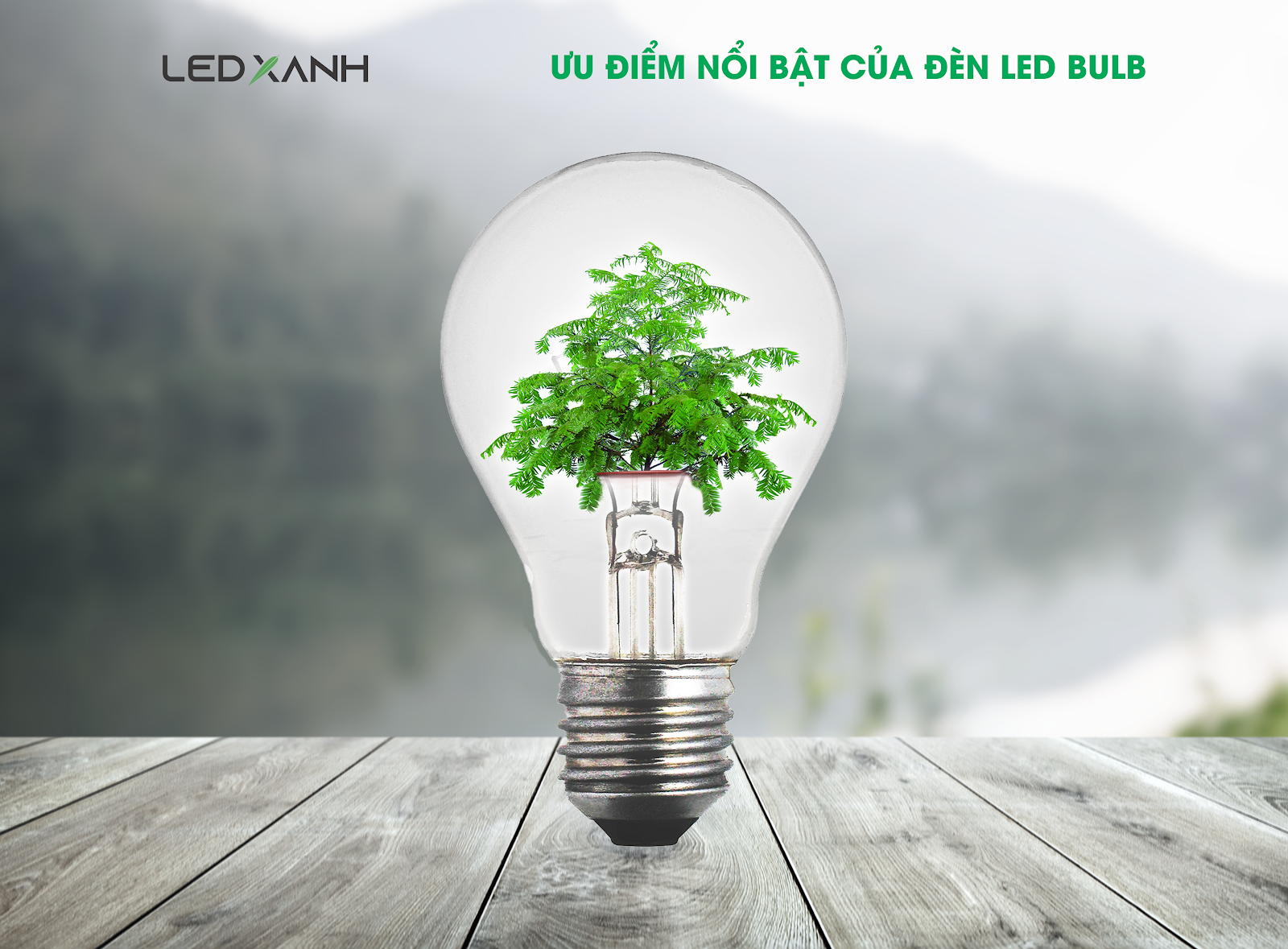 Ưu điểm của đèn LED Bulb