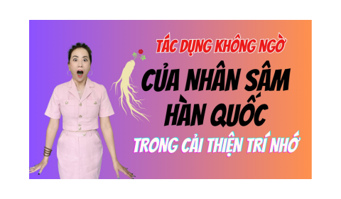 Tác dụng Không ngờ của Nhân sâm Hàn Quốc trong việc cải thiện trí nhớ
