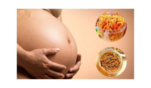 Bà bầu có nên uống đông trùng hạ thảo thường xuyên không?