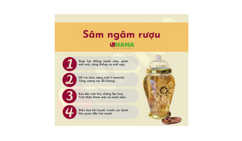 Cách uống Rượu sâm Hàn Quốc để có tác dụng tốt với sức khỏe
