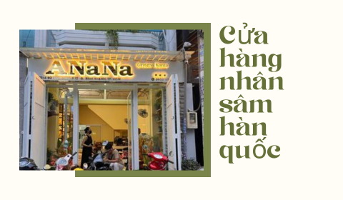 Mua Nhân Sâm Tươi Hàn Quốc ở đâu ?