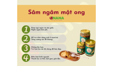 Nhân sâm Hàn Quốc ngâm mật ong - Lựa chọn hàng đầu của bạn!