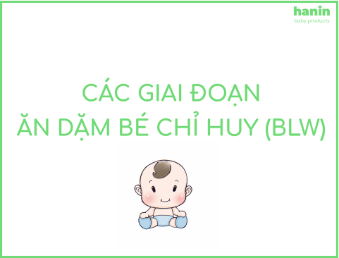 Các giai đoạn ăn dặm bé chỉ huy (BLW)
