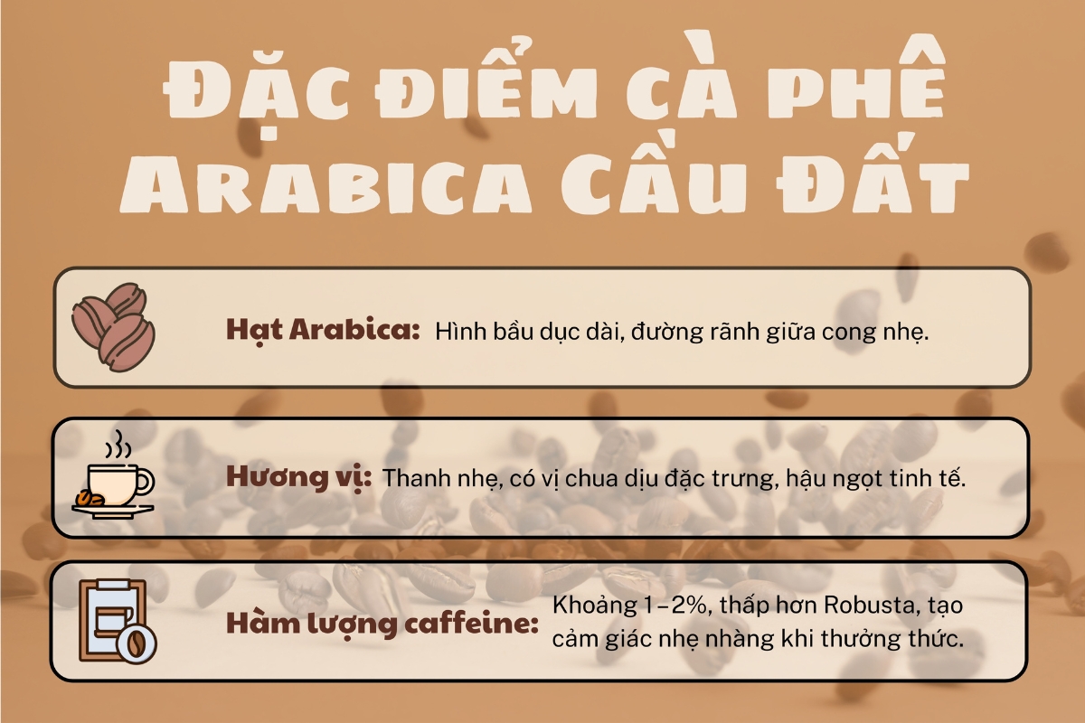 hạt cà phê arabica