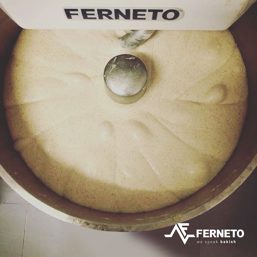 Máy trộn bột công nghiệp Ferneto