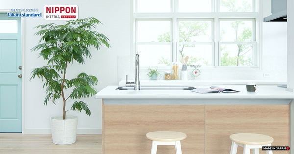 Trồng Cây Gì Trong Nhà Bếp Hợp Phong Thủy?