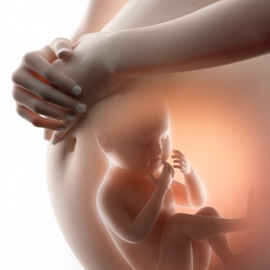 LỢI ÍCH KHÔNG TƯỞNG KHI MẸ TRÒ CHUYỆN HÀNG NGÀY VỚI THAI NHI
