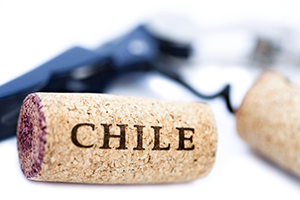 Tìm Hiểu Về Rượu Vang Chile