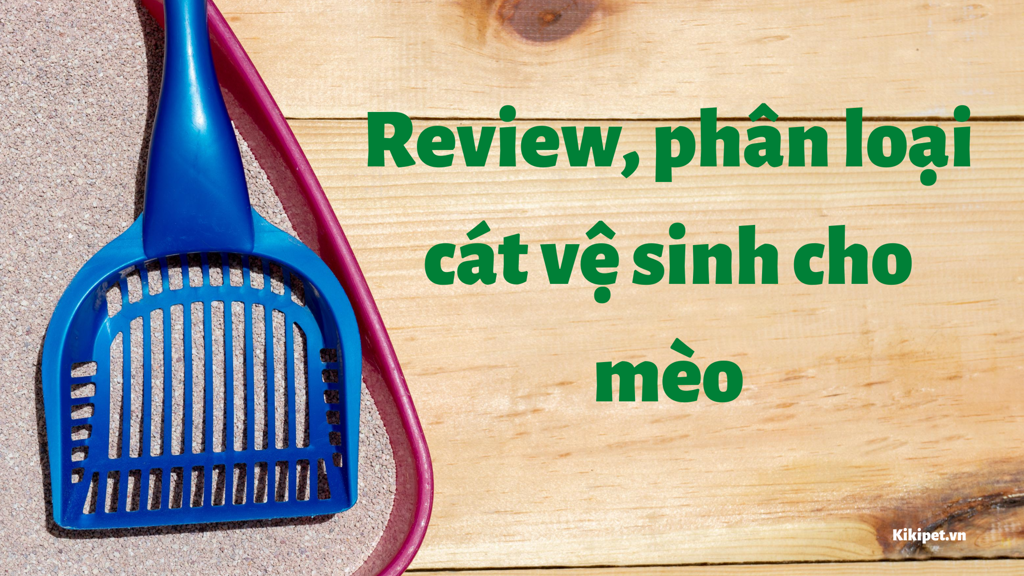 Cát vệ sinh mèo là gì? Review phân loại cát vệ sinh mèo