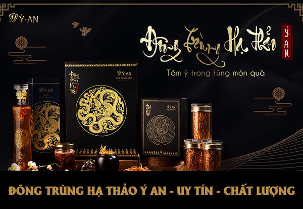 dong-trung-ha-thao-y-an-uy-tin