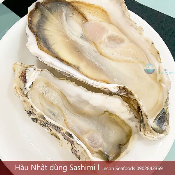 hau-nhat-chuan-sashimi-hau-sach-tu-nhat-leconseafoods-Miyagi-Oyster