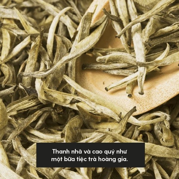 Tinh Dầu Trà Trắng (White Tea Essential Oil) Heny Garden