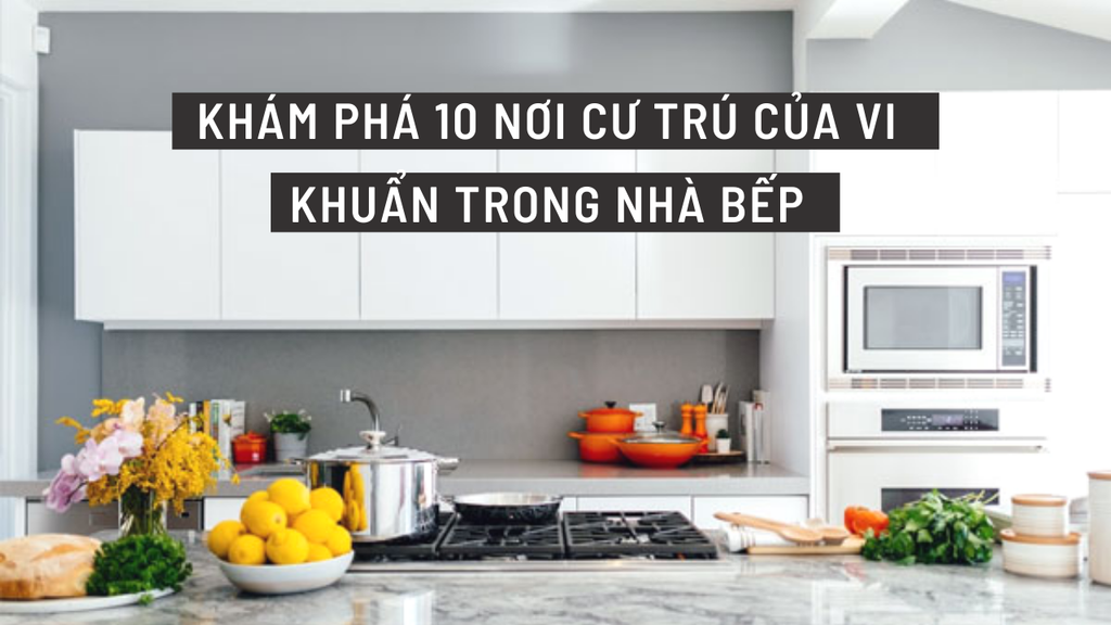 KHÁM PHÁ 10 NƠI CƯ TRÚ CỦA VI KHUẨN TRONG NHÀ BẾP & CÁCH VỆ SINH HIỆU QUẢ