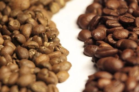 Cà phê robusta và arabica loại nào ngon hơn? Bảng giá hiện nay
