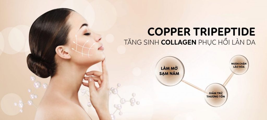 Tái tạo collagen với Copper Tripeptide - Bí quyết của làn da rạng rỡ