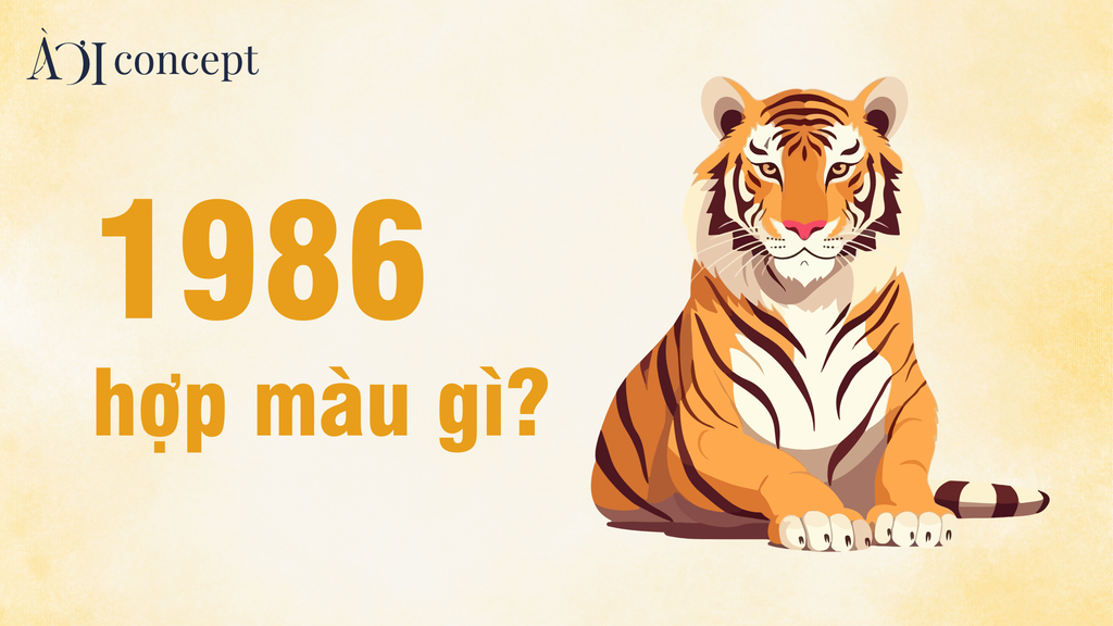 1986 hợp màu gì? Gợi ý màu xe, trang phục, nội thất chuẩn phong thủy