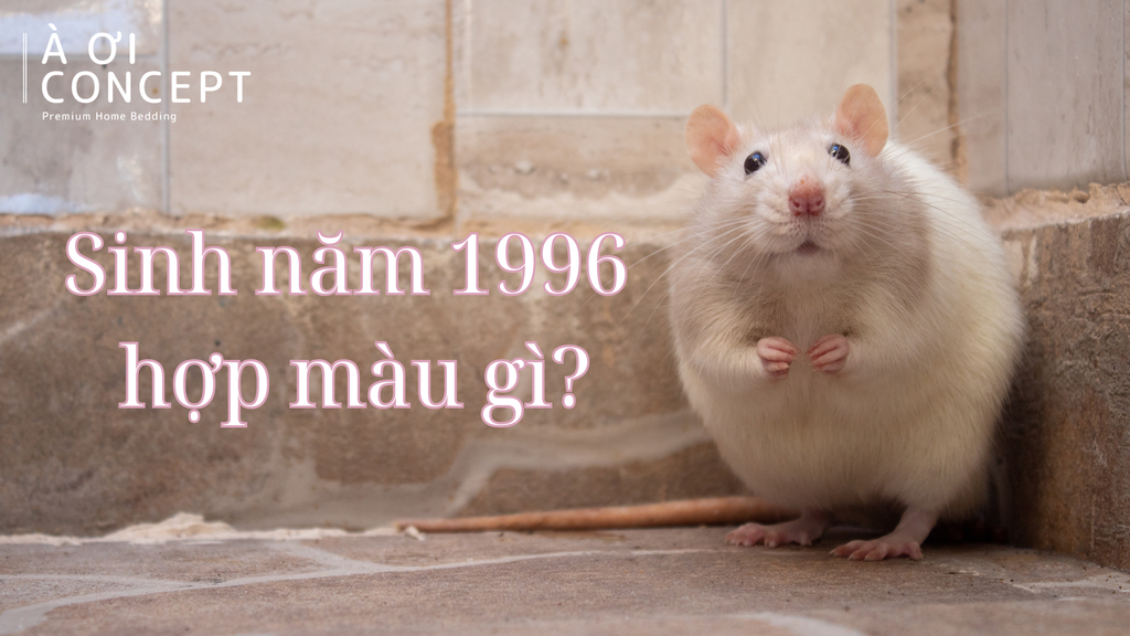 1996 hợp màu gì? Gợi ý màu xe, màu ví, trang phục chuẩn phong thủy tuổi Bính Tý