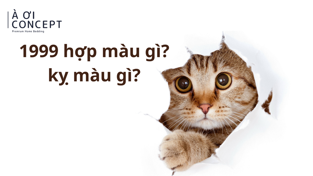 1999 hợp màu gì? Khám phá màu hợp tuổi Kỷ Mão giúp thu hút tài lộc, phong thủy may mắn
