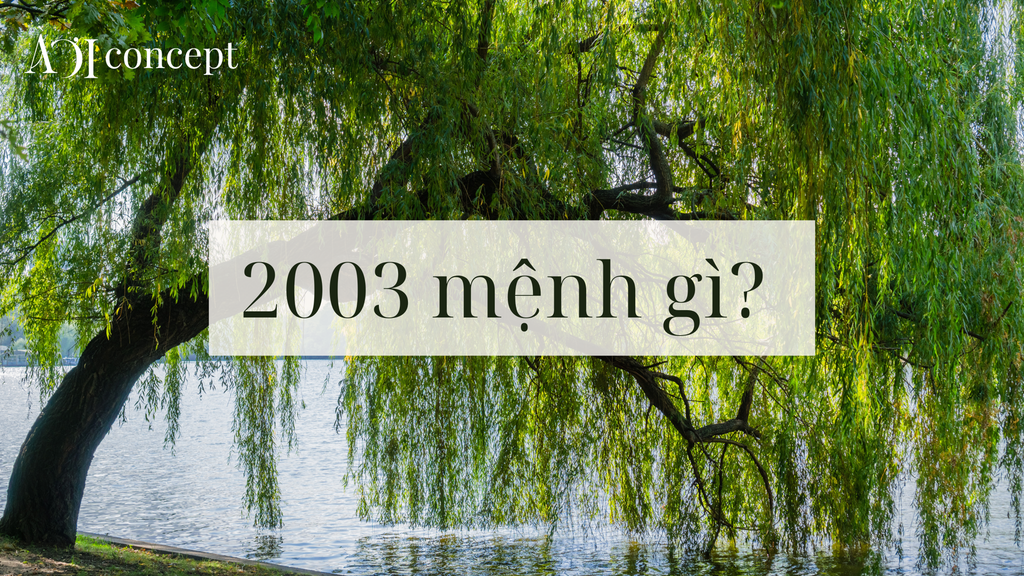 2003 mệnh gì? Cung mệnh, màu hợp, tuổi hợp và vật phẩm phong thủy