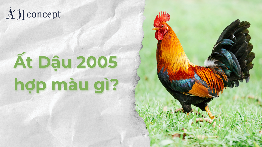 2005 hợp màu gì? Gợi ý màu xe, trang phục, đá phong thủy tuổi Ất Dậu mệnh Thủy