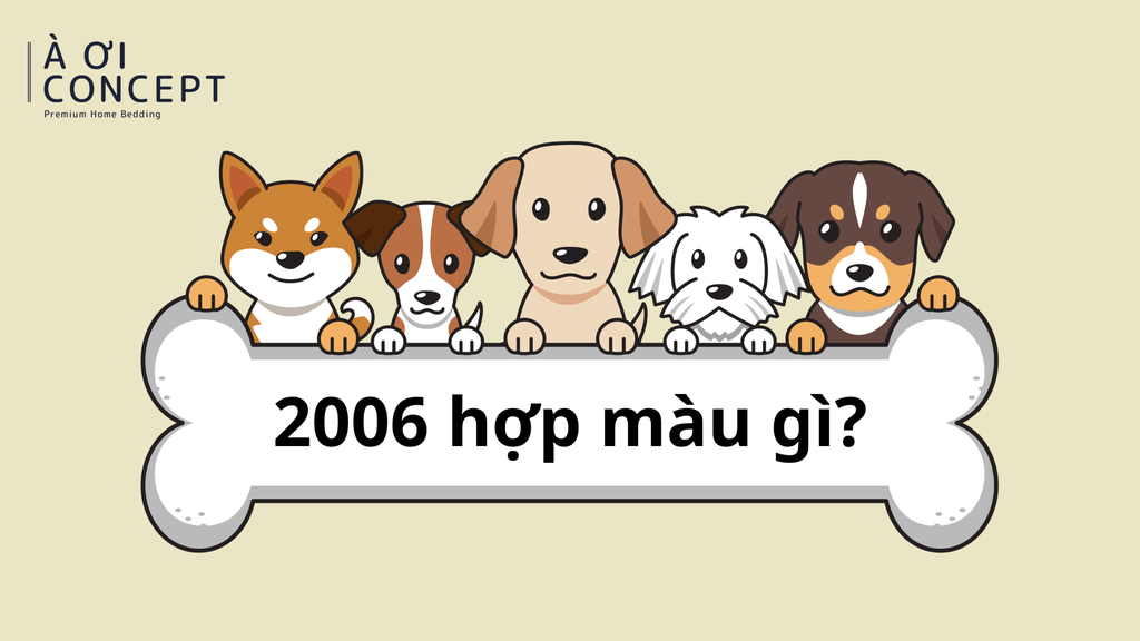 2006 hợp màu gì? Gợi ý màu xe, ví, sơn nhà và trang phục hợp mệnh