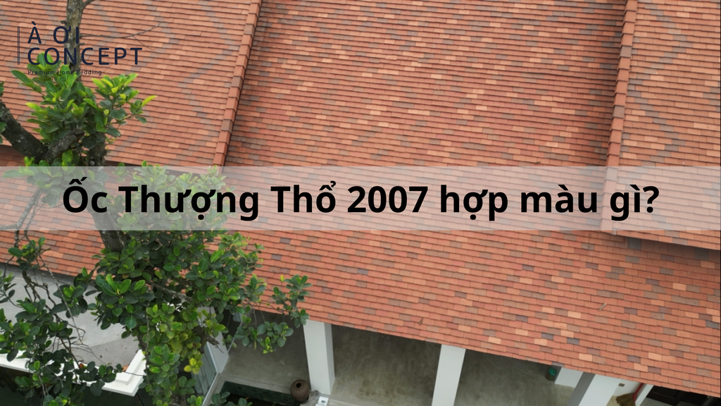 2007 hợp màu gì? Mẹo chọn màu xe, ví, quần áo hợp mệnh cho Gen Z