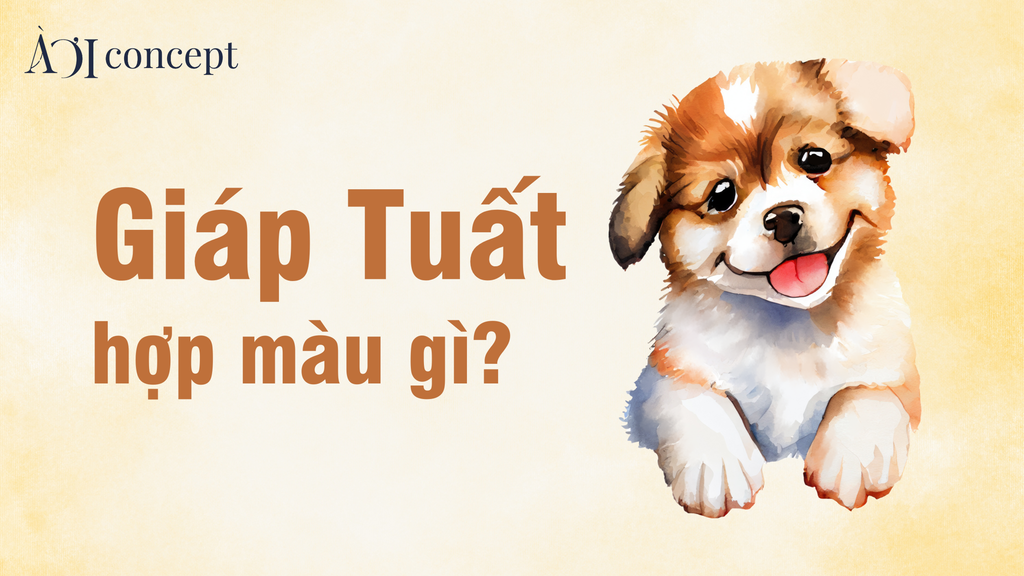 Tuổi Giáp Tuất hợp màu gì? Gợi ý màu xe, nhà, trang phục phong thủy
