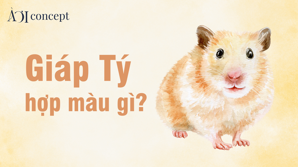 Tuổi Giáp Tý hợp màu gì? Màu xe, nhà, trang phục và phong thủy chuẩn
