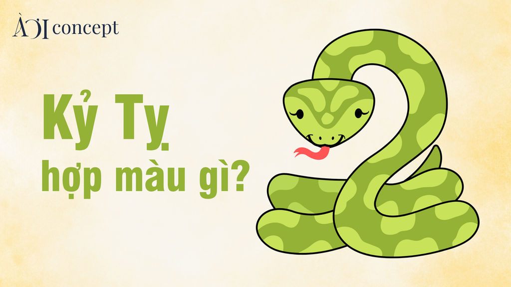 Tuổi Kỷ Tỵ hợp màu gì? Gợi ý màu xe, trang phục, sơn nhà chuẩn 1989