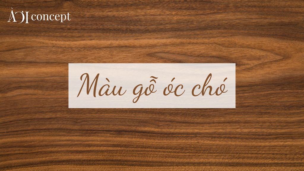 Màu gỗ óc chó là gì? Đặc điểm, ứng dụng và cách thay thế phổ biến