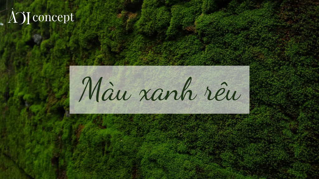 Xanh rêu: Phối màu, ứng dụng trong thời trang – nội thất – phong thủy