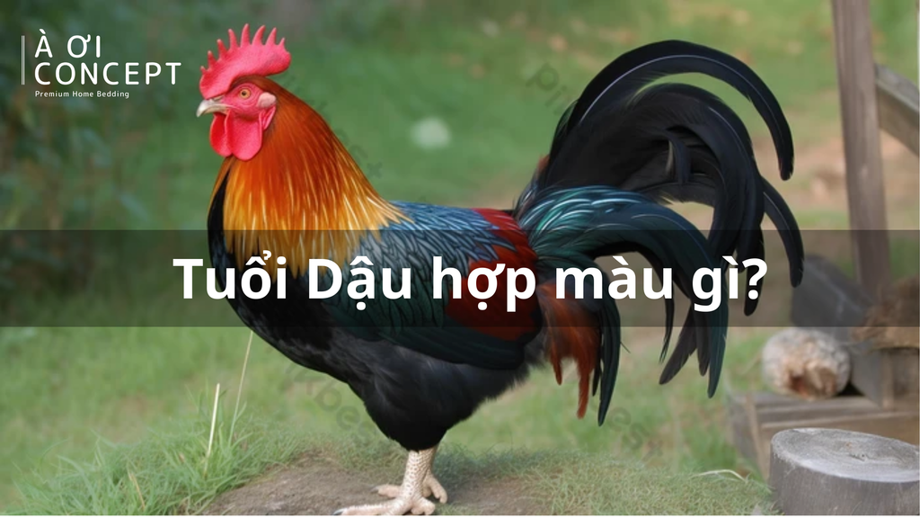 Tuổi Dậu hợp màu gì? Bảng màu phong thủy, may mắn, tương sinh theo từng năm