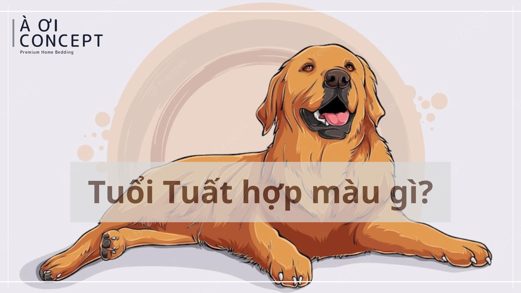 Tuổi Tuất hợp màu gì? Gợi ý màu phong thủy, màu xe, nội thất và trang phục chuẩn