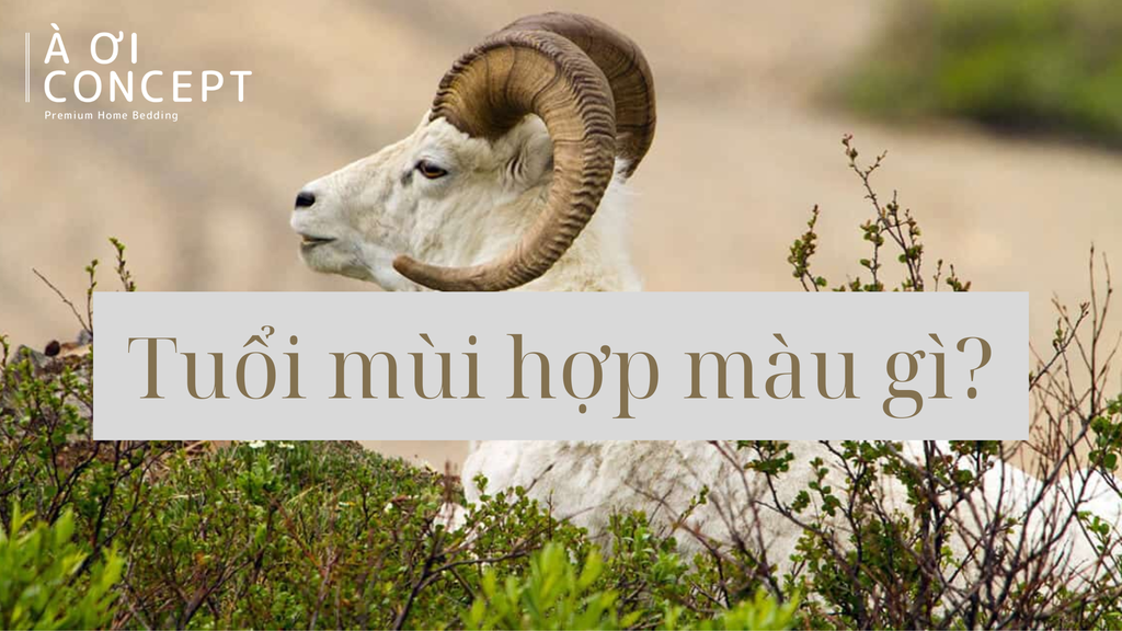 Tuổi Mùi hợp màu gì? Chọn màu phong thủy chuẩn mệnh để hút tài lộc